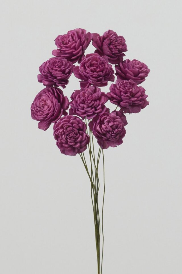 ソーラーローズ・小　ラズベリー　32081-261