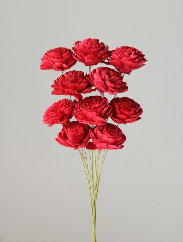 ソーラーローズ・小　クイーンレッド　32081-330