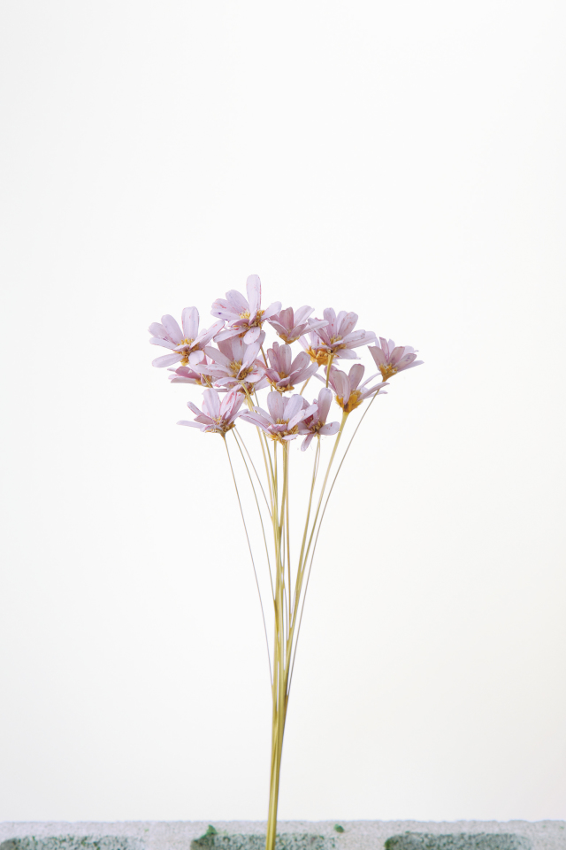 プチフラワー　ライトパープル　32140-410　