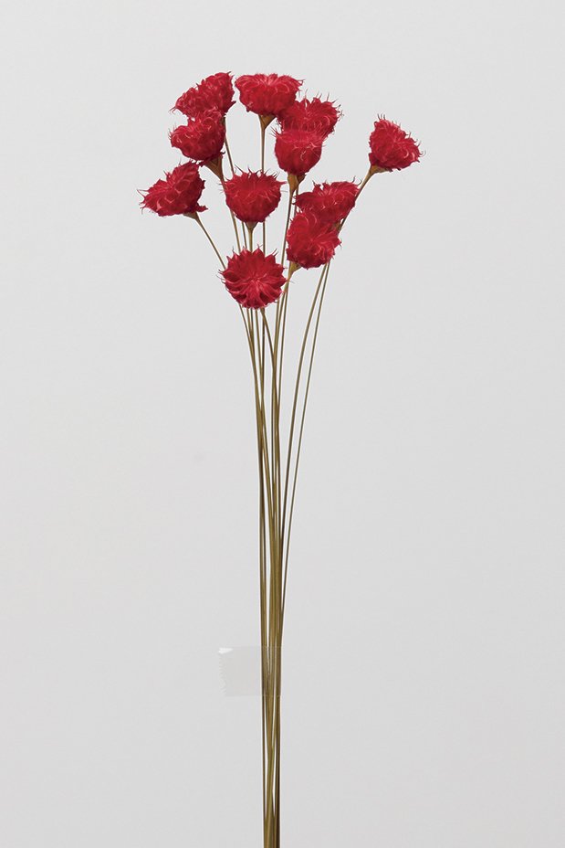 在庫整理❣️爆盛り‼️ドライフラワー　長さあり‼️ 花材 ドライフラワー在庫整理品 - メルカリ