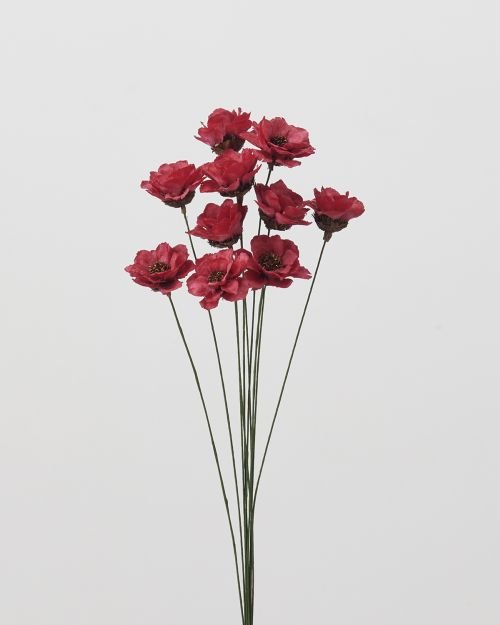 カリナフラワー　フランボワーズ　32330-210