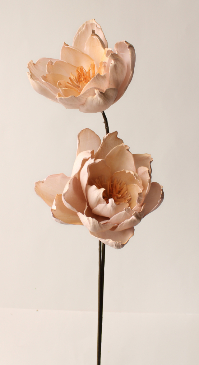 ソーラーパールピオニー・大・ツートン ピンクモーブ 32452-192 