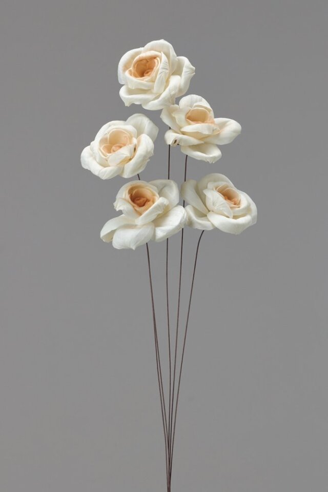 ソーラーアリスローズ　白/ブラウン　32570-083