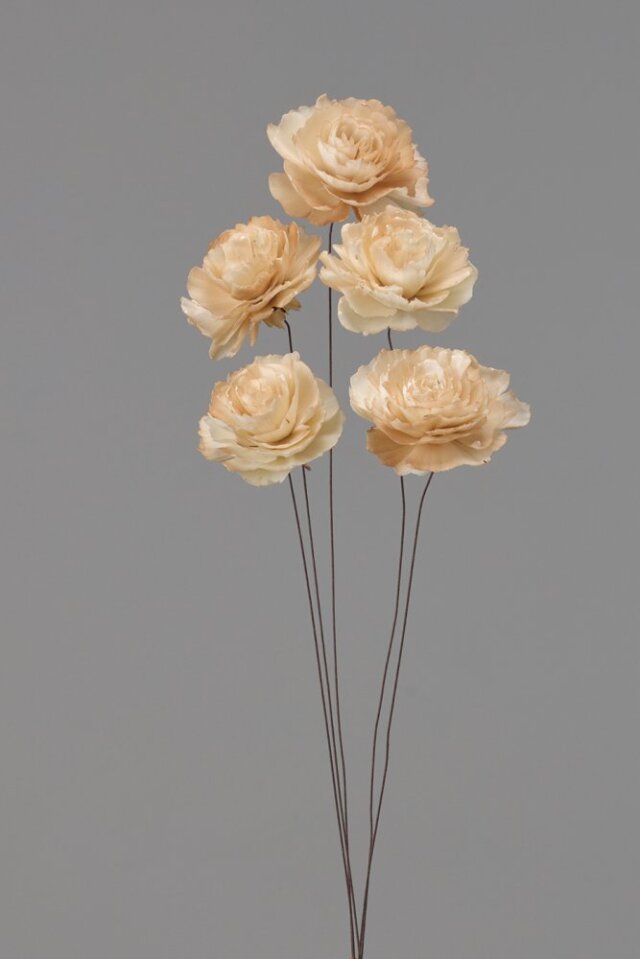 ソーラーケイトローズ　ブラウン　32580-830