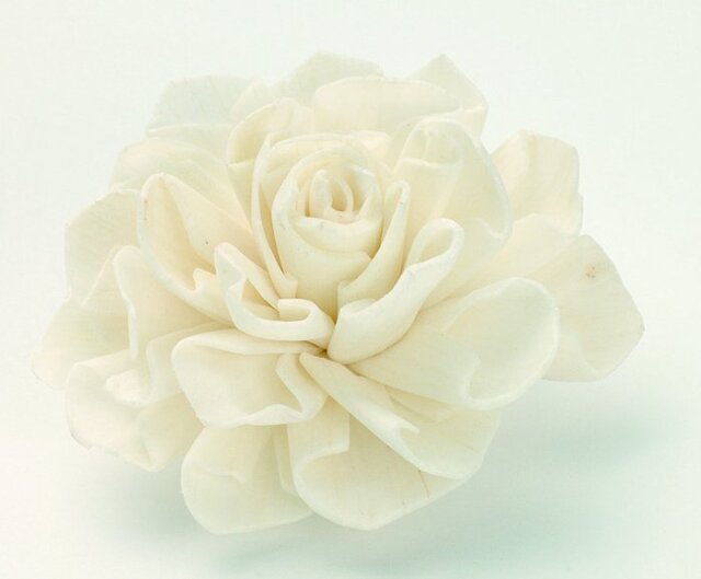 ソーラーダリア・ヘッド　白　32710-010