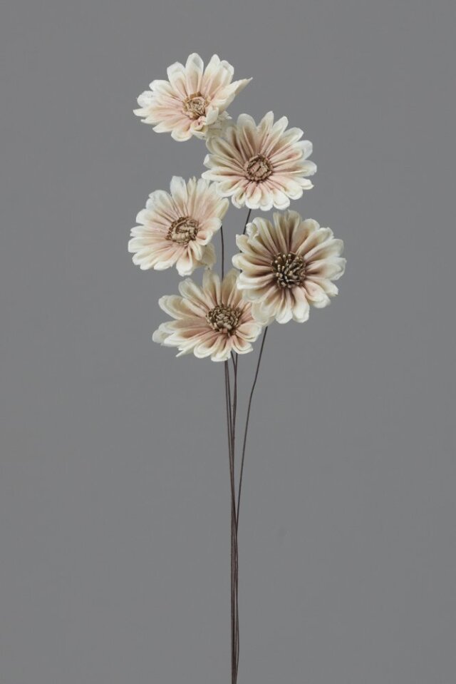 ソーラーデイジー　白/ピンク　32750-021