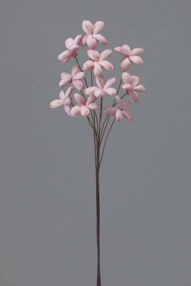 ソーラージャスミン　ピンク　32810-101