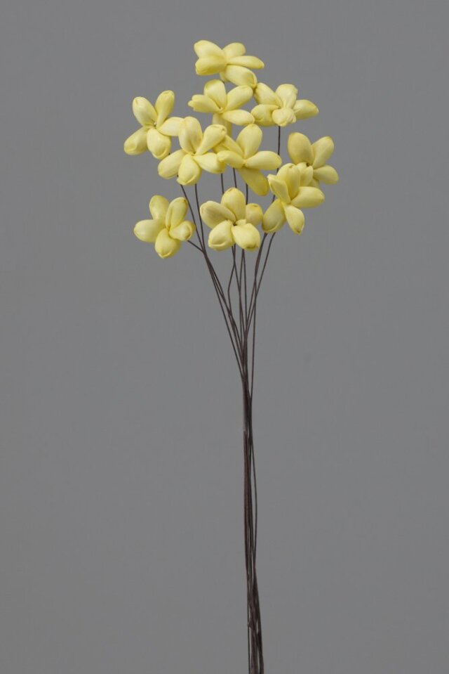 ソーラージャスミン　イエロー　32810-501