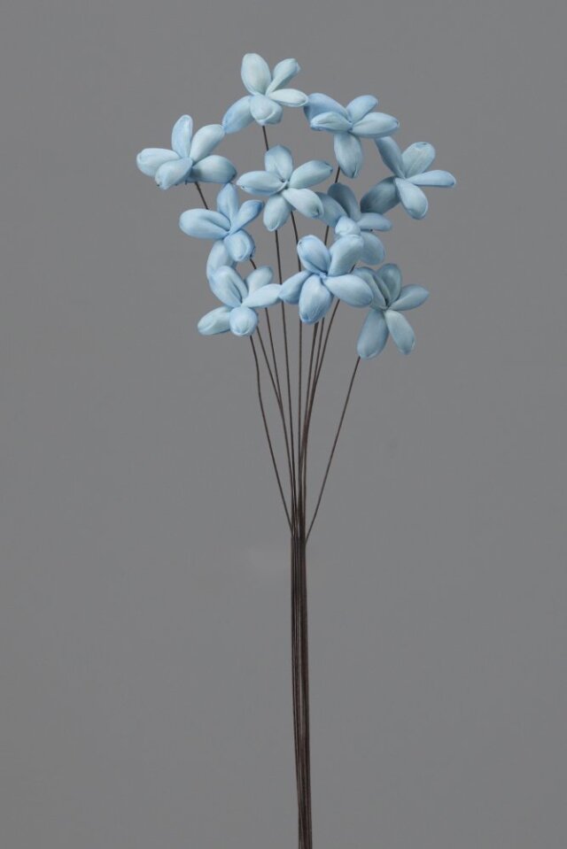 ソーラージャスミン　ブルー　32810-601