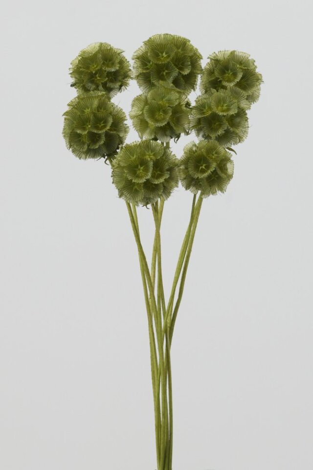 ステルンクーゲル　バジルグリーン　36100-621