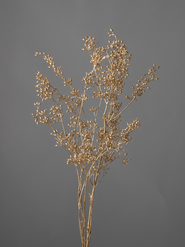 ユーカリ・エキゾチカ　ゴールド　40170-902