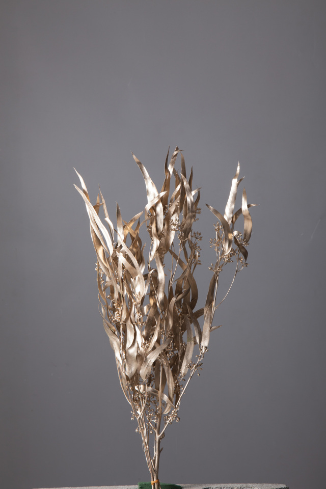 ユーカリ・エキゾチカ・葉付　プラチナ　40175-932