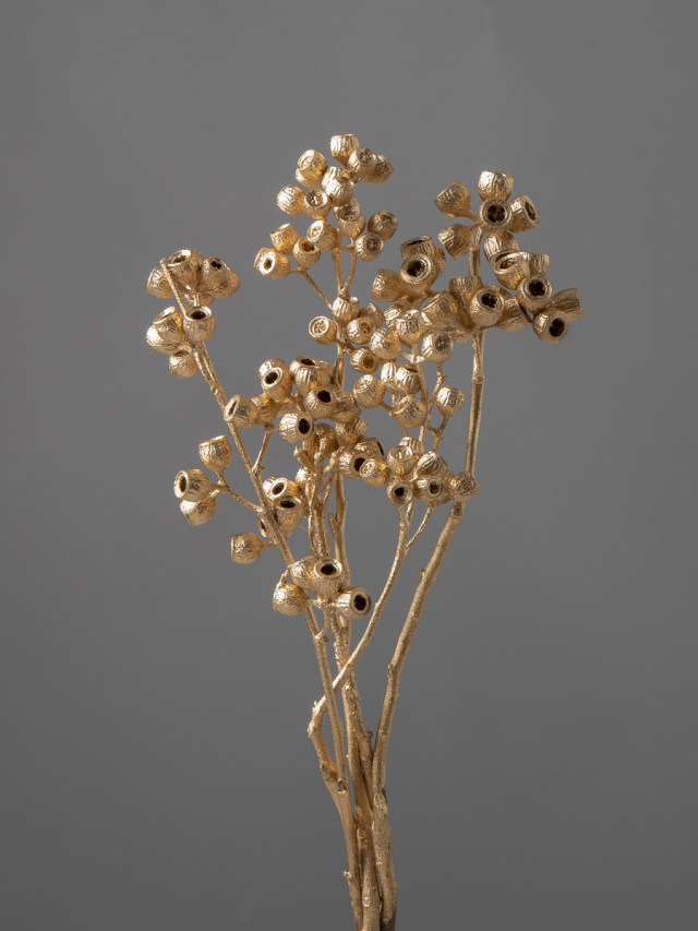 アンバーナッツ　ゴールド　40220-902