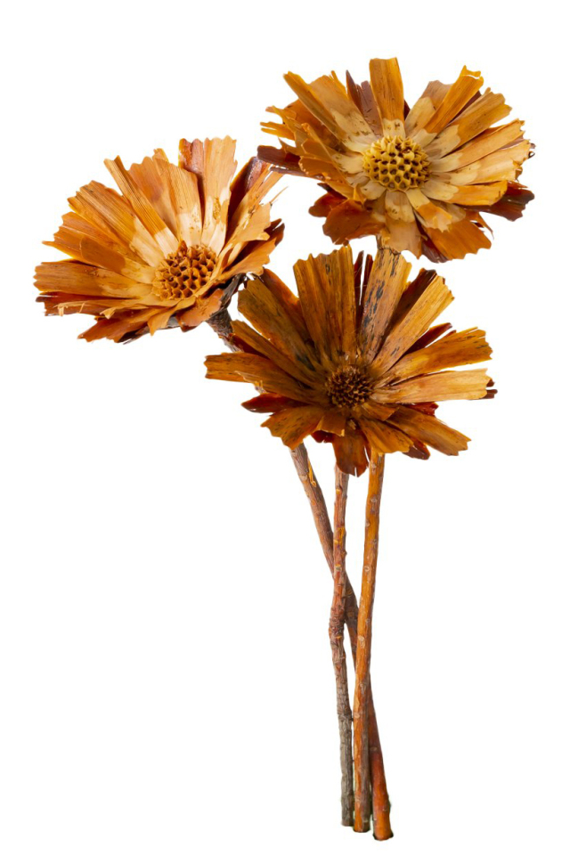 リペンズロゼッタ　ナチュラル　40250-000