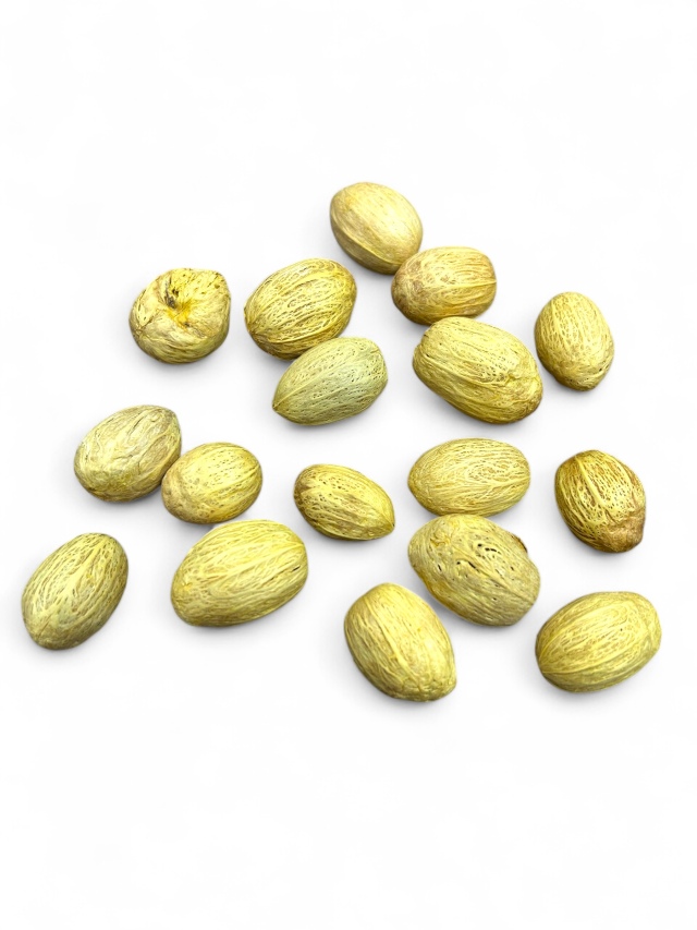 アムラ　ライトイエロー　MW414-14　特別割引　※会員割引適用外