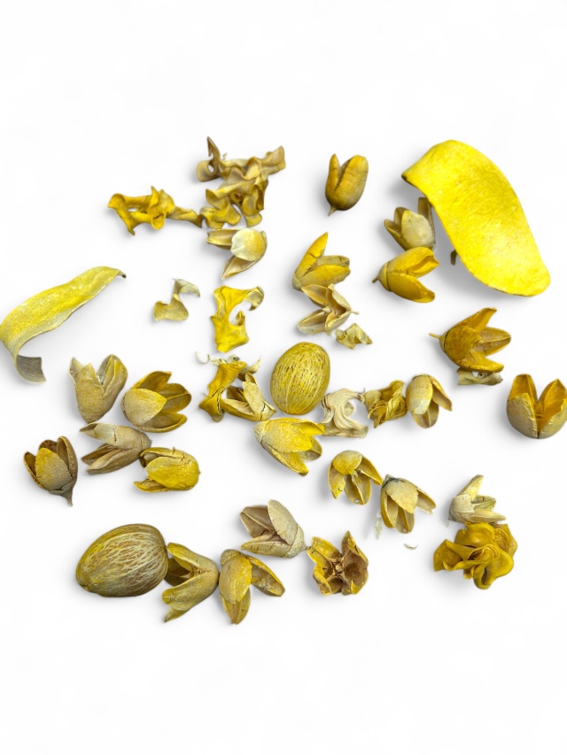 木の実アソート　イエローウォッシュ　　MW416-94　特別割引　※会員割引適用外