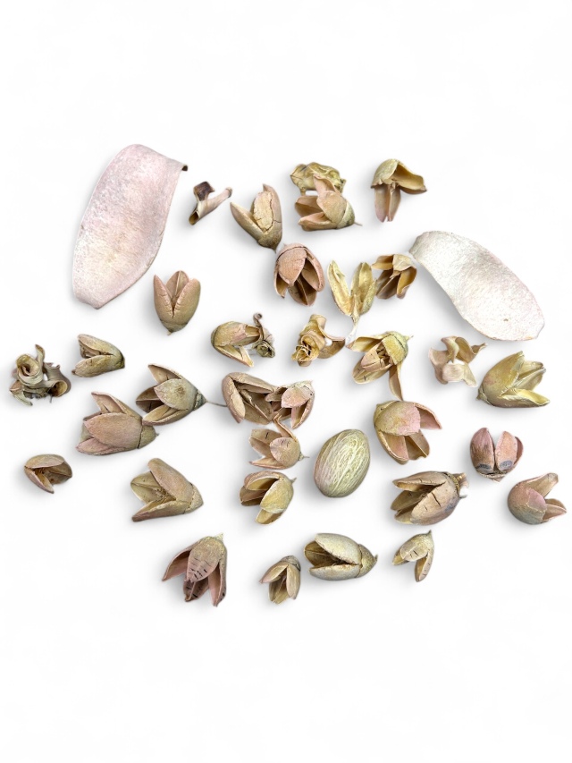 木の実アソート　ピンクウォッシュ　　MW416-95　特別割引　※会員割引適用外