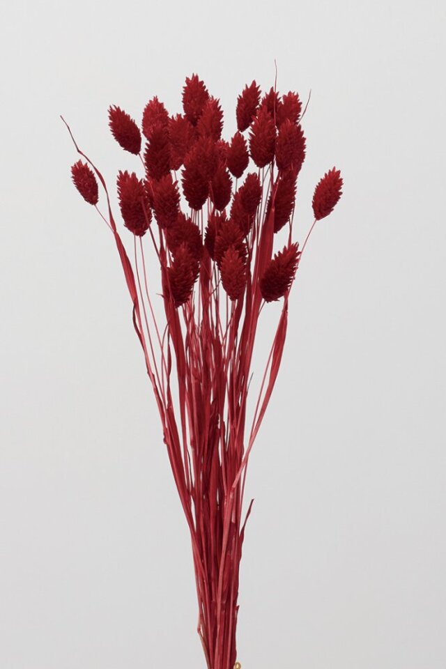 ドライフラワー　パフェ＊レッド ドライフラワー パフェ＊レッド 日暮里】季節のパフェが大人気