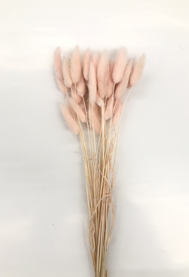 ラグラス　ピンク　42050-101