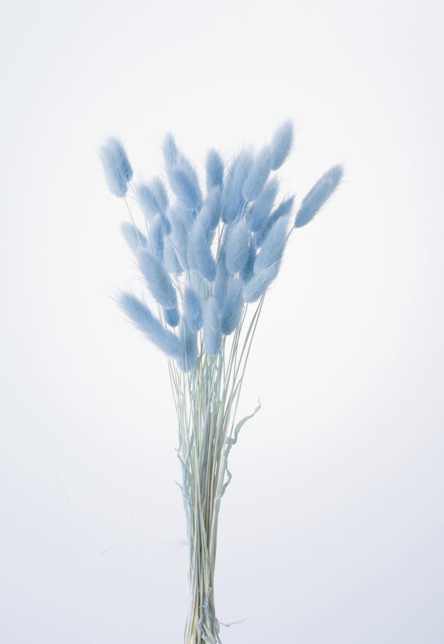 ラグラス　ラベンダー　42050-411