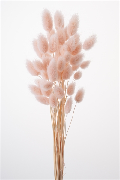 ハニーテール　エンジェルピンク 42060-141