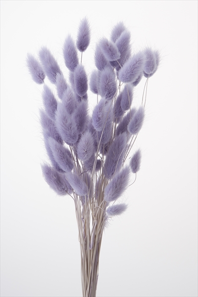 ハニーテール　エンジェルパープル　42060-441　