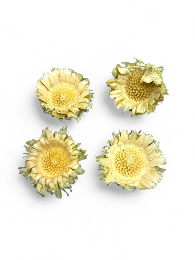 コンパクターヘッド　ライトグリーン　MW449-42　特別割引　※会員割引適用外