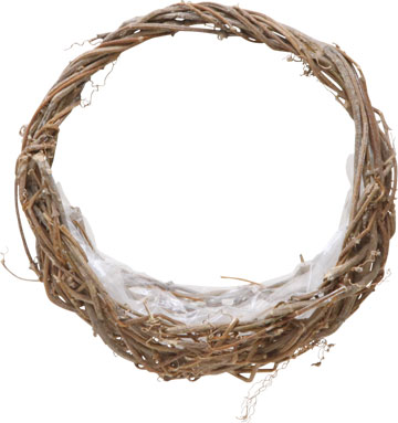 バックリース２２cm