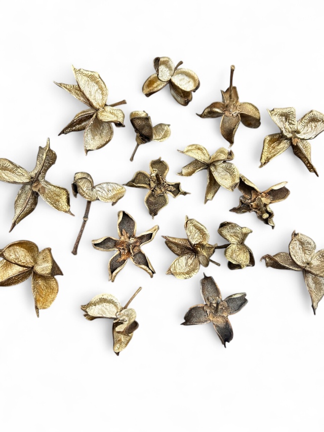 ワタカラ　ゴールドウォッシュ　MW477-18　特別割引　※会員割引適用外