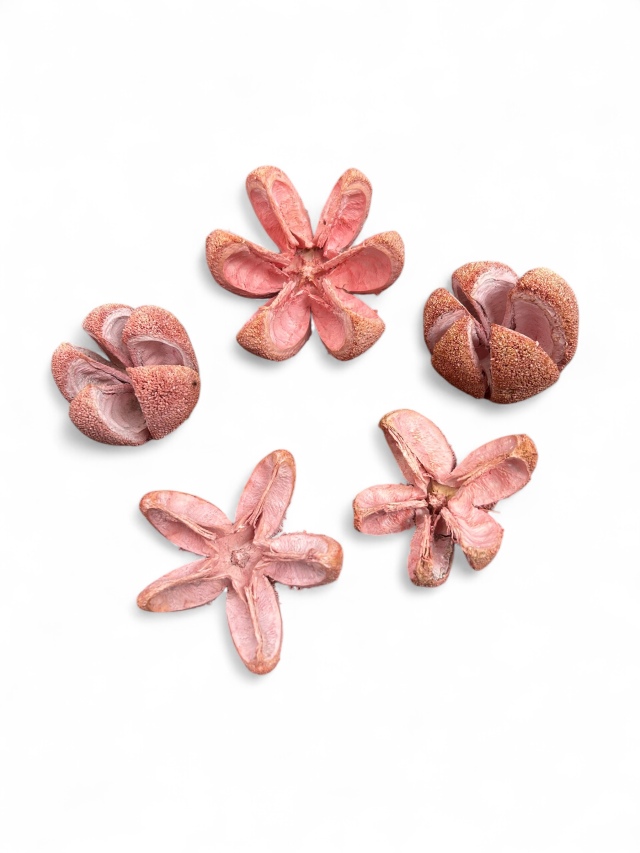 ブレッドフラワー　ライトピンク　　MW492-44　特別割引　※会員割引適用外