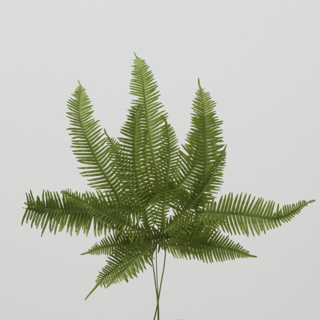 山シダ・プリザーブド（耐光性）　グリーン　50295-702