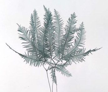 山シダ　ターコイズグリーン　50296-751　品番変更