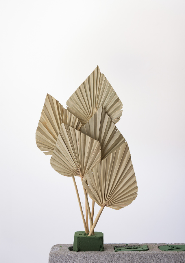 パームスペード　Ｎ　54060-000