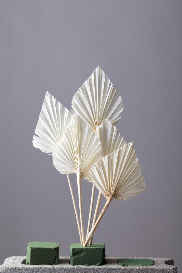 パームスペード　11オフホワイト　54060-011