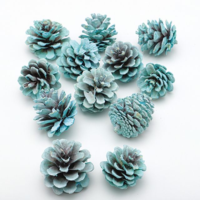 松かさ　ミニ　ミルキーアクア　廃盤セール60％ＯＦＦ
