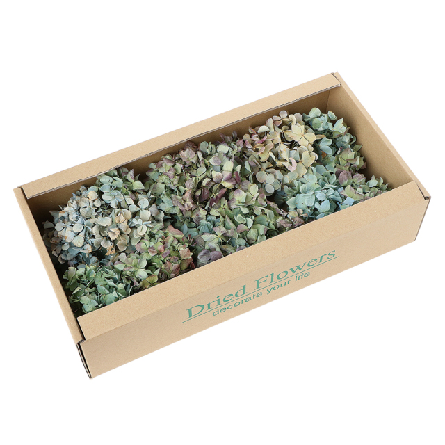 あじさい　ナチュラル　ドライフラワー