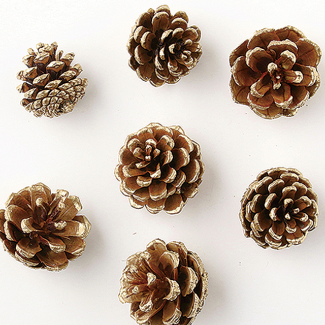 松かさ　ミニ　N/エッジゴールド　廃盤セール60％ＯＦＦ