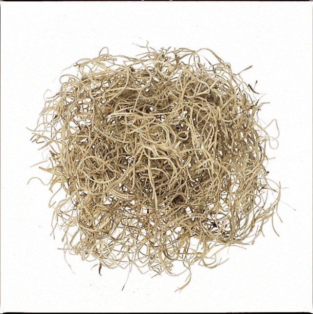 スパニッシュモス・N　小袋　61061-000