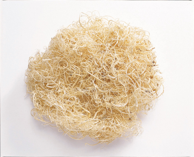 カーリーモス　小袋　オフホワイト　61180-010