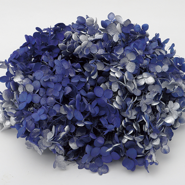 ソフトあじさいアナベル　スプラッシュエジプシアン　64225