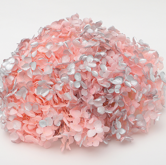 ソフトあじさいアナベル　スプラッシュピンク　64226