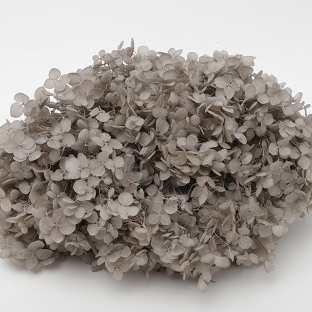 ソフトあじさいアナベル　グレー　64253