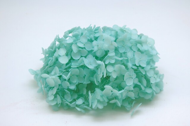 ソフトあじさいアナベル　ミントブルー　64315