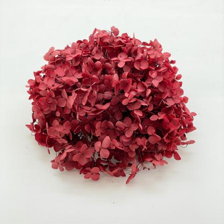 ソフトあじさいアナベル　スカーレット　64321