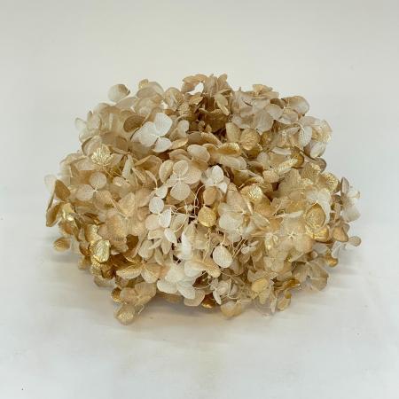 ソフトあじさいアナベル　ホワイト/ゴールド　64325