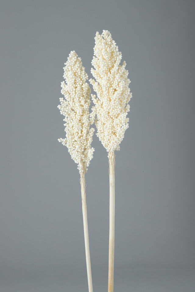 インディアンコーン　サラシ　65098