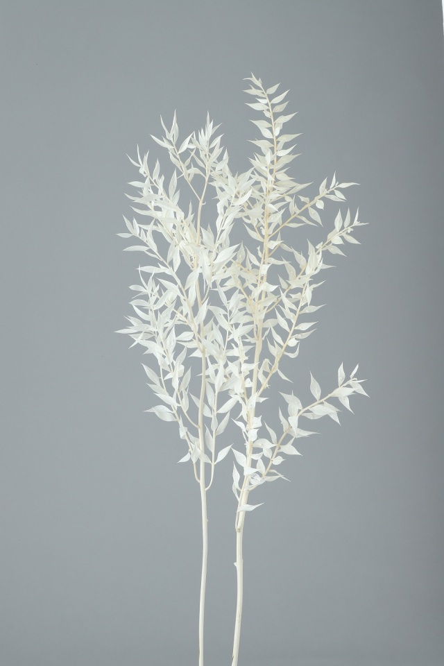 ソフトラスカス　サラシ　75775