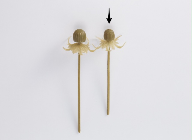 ブルーミングステム・M　オリーブグリーン　１cm×１２ｃｍ　　65680-760　