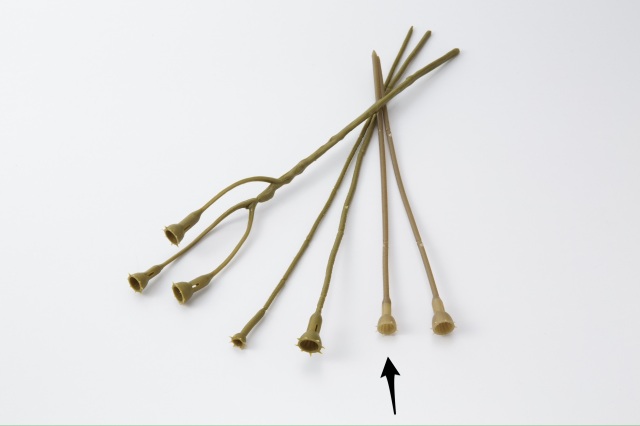 デザインステム・M　ロング　オリーブグリーン　１cm×２７．５ｃｍ　　65722-760　メーカー廃番セール60％OFF