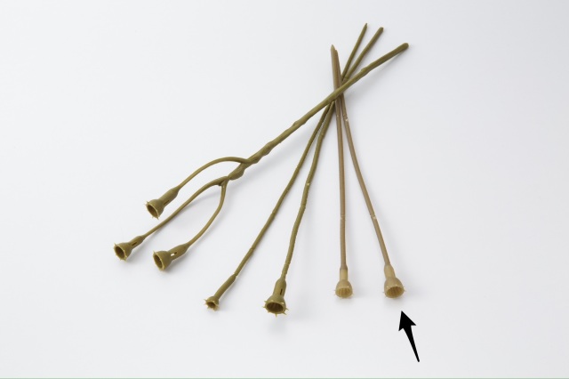 デザインステム・L　ロング　オリーブグリーン　１．２cm×２７．５ｃｍ　　65772-760　メーカー廃番セール60％OFF